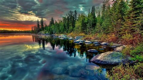 Free Full Hd Video Videos .